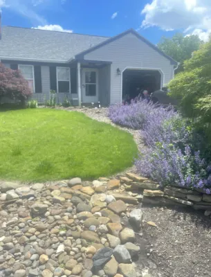 Backyard with purple flowers and rock landscaping