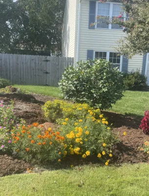 Flower bed with orange and purple flowers in front of a house