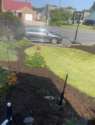 Front yard with orange flowers, green plants, and basketball hoop