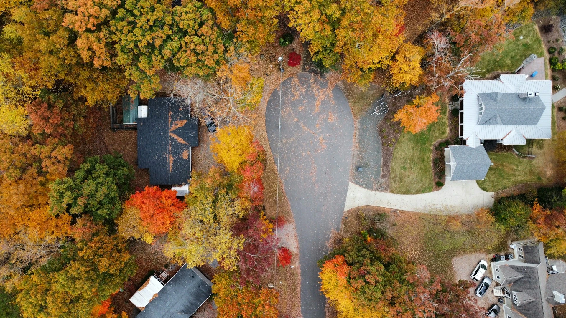 houses in lake gaston